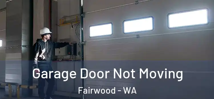  Garage Door Not Moving Fairwood - WA