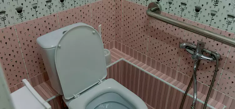 Meeting Diverse Needs With Accessible Restroom Solutions in Fairwood, WA